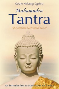 mahamudra tantra beginners buddhist meditation book